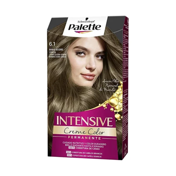 Palette farba za kosu 6-1 Pepeljasto tamno plava